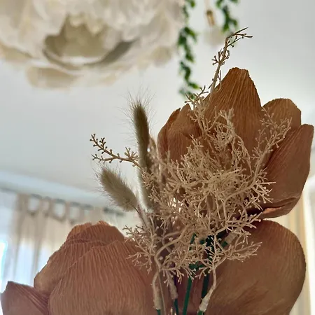 Bed and breakfast Nontiscordardime