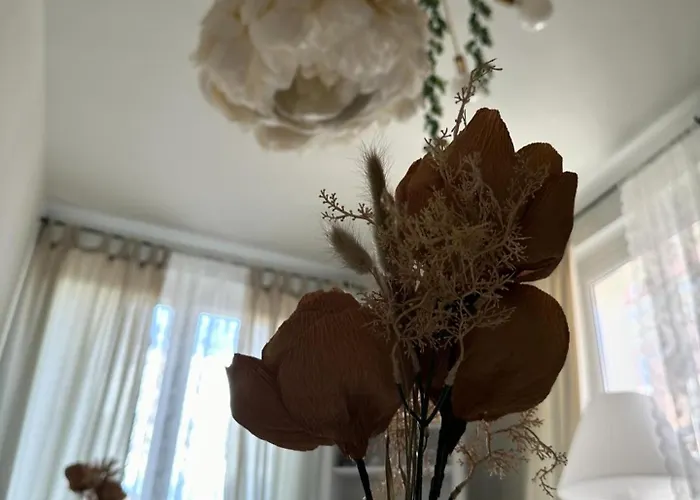 ベッド・アンド・ブレックファスト Nontiscordardime